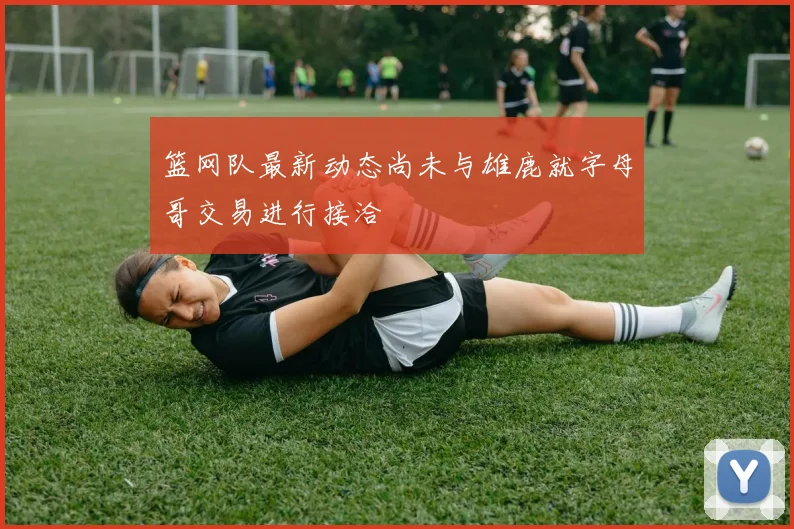 篮网队最新动态尚未与雄鹿就字母哥交易进行接洽