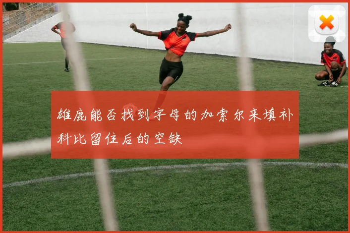 雄鹿能否找到字母的加索尔来填补科比留住后的空缺