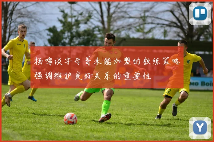 杨鸣谈字母哥未能加盟的教练策略强调维护良好关系的重要性