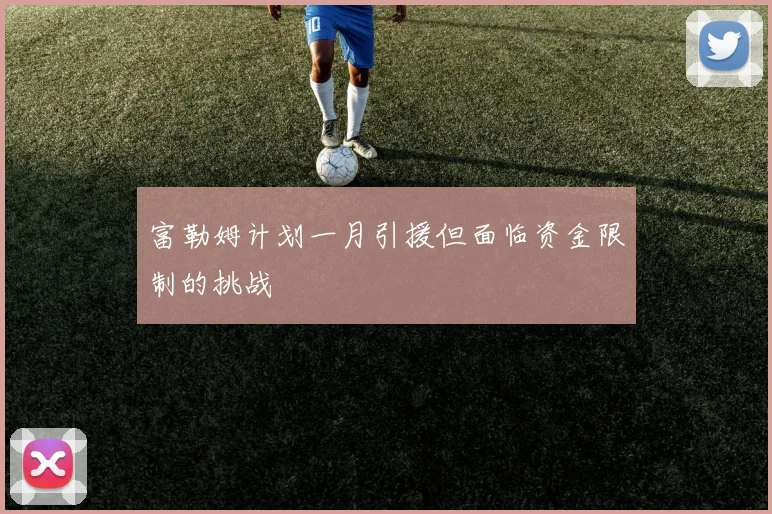 富勒姆计划一月引援但面临资金限制的挑战